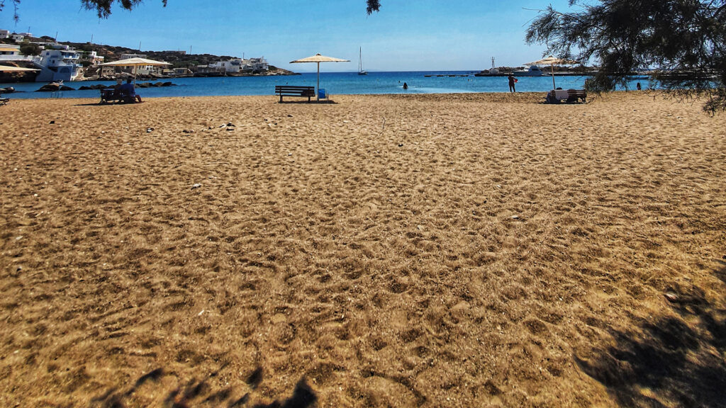 αλοπρονοια Η